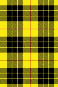 Macleod of Lewis Tartan