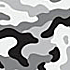 Multicam